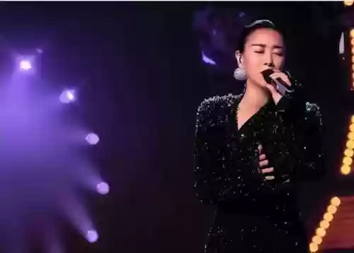 公益歌手阵容(乡村音乐和高能流行阵容)插图12