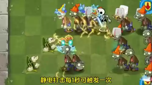 蜜蜂铃兰阵容(铃兰花和什么花搭配好看)插图4