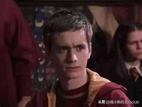 学年记录阵容(研学记录表怎么填写)插图6