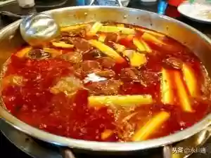 美人蛙阵容(宝可梦t0阵容)插图9