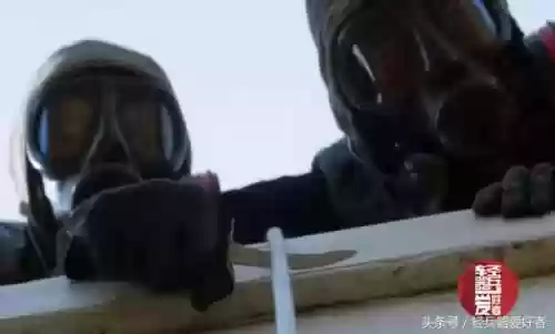 猪皮枪阵容(合金弹头阵容搭配)插图26