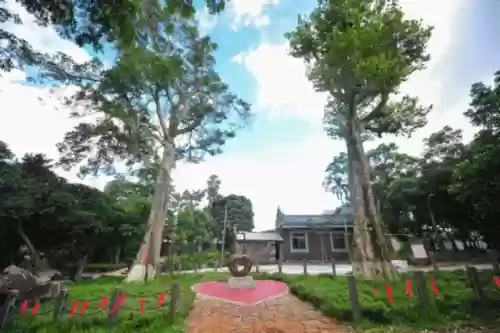 童心芭乐阵容(开心塔防阵容搭配推荐)插图2