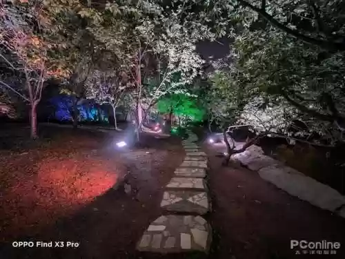 豪华阵容配置(不朽家族推图阵容搭配)插图16