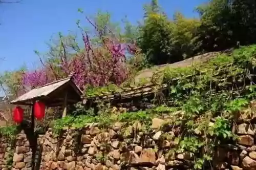 清乐竹林阵容(阴阳师单体阵容)插图4