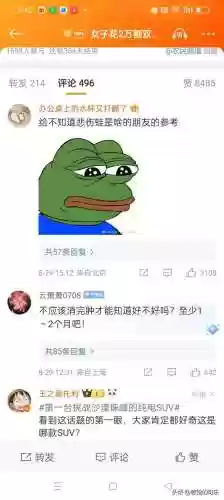 悲伤蛙阵容(宝可梦t0阵容)插图4