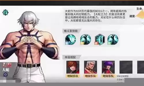 拳皇全明星大蛇阵容搭配