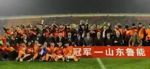 鲁能2008阵容(鲁能两将进最佳阵容)插图2