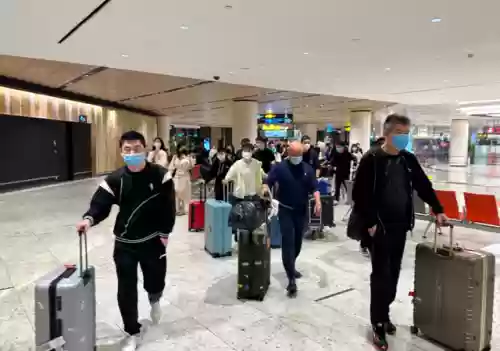 桂冠乐土阵容(上古王冠阵容搭配)插图6