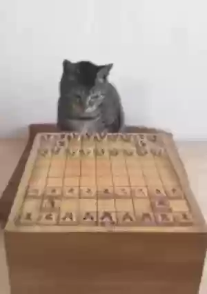猫咪下棋阵容(动物自走棋阵容推荐)插图4