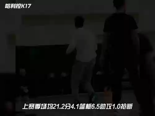 阵容分析掘金(死亡突围队伍最佳阵容)