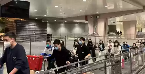 桂冠乐土阵容(上古王冠阵容搭配)插图12