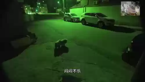 狗子希尔阵容(希维尔搭配什么辅助好)插图1