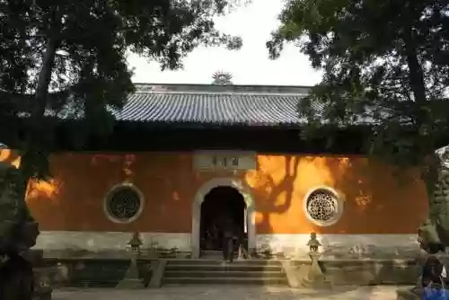 命名夜阑阵容(星陨之地阵容推荐)插图96