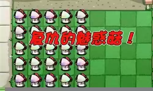 魅惑菇阵容搭配