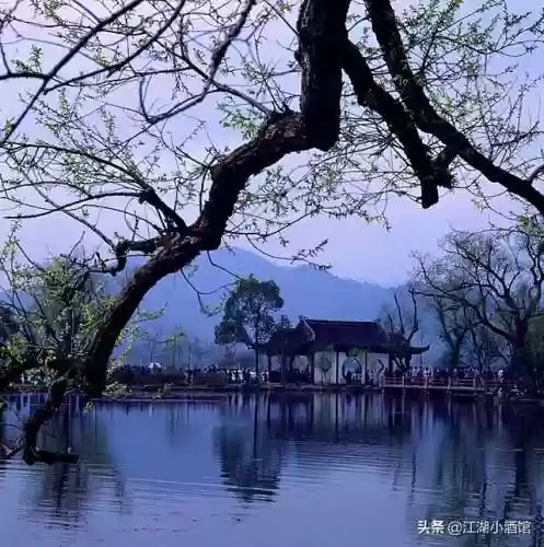 金陵刺客阵容(9刺客阵容)插图13