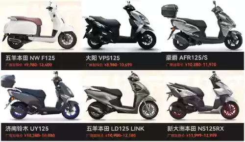 轻量化阵容(宝可梦t0阵容)插图2 轻量化阵容(宝可梦t0阵容)插图2