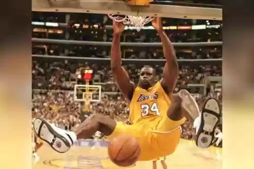 2003小牛阵容(NBA球员入选最佳阵容)插图18