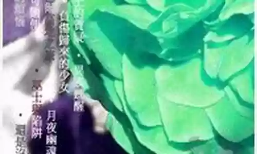 妮丝蒂尔阵容搭配