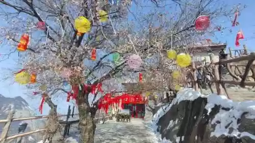 青年战国阵容(三国杀国战组合)插图7 青年战国阵容(三国杀国战组合)插图7