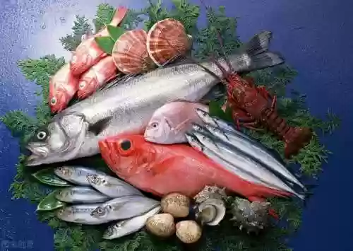 汤小鱼阵容(汤小鱼)插图3