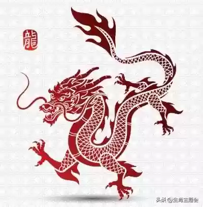 易怒龙阵容(多多自走棋龙法阵容)插图7