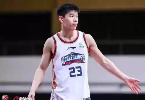 树苗反弹阵容(植物大战阵容搭配)插图2