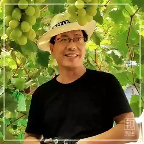 2018葡萄阵容(英格兰国家队主力阵容)插图12