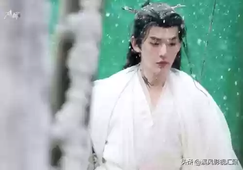 白衣狐狸阵容(云顶狐狸主C阵容)插图2