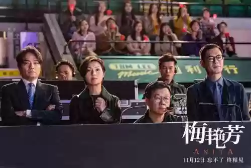 梅艳芳朋友阵容(梅艳芳男朋友是谁)插图14