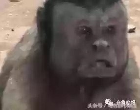 巴西阵容恶搞(巴西队最强阵容)插图19