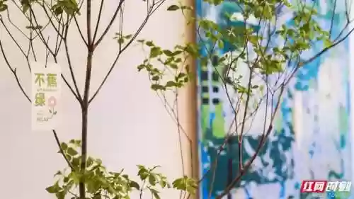 时空边界阵容(时空裂痕最稳上分阵容)插图4