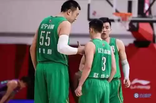2017辽宁阵容(辽宁队阵容)