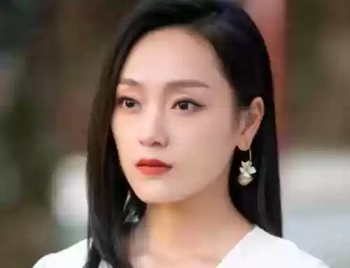 白鹿阵容搭配(白鹿搭配)插图2