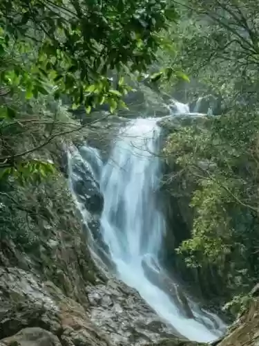 青衫染阵容(青鸾繁华录阵容)插图2