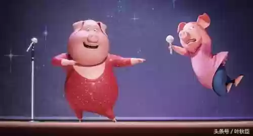 公猪搭配阵容(苏太猪配什么猪最好)插图27