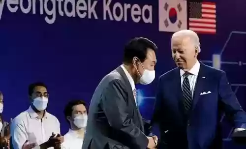 保镖阵容锤子(锤子大作战最强搭配)插图2