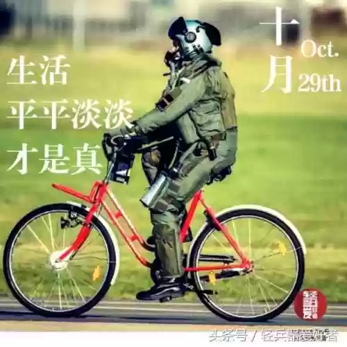猪皮枪阵容(合金弹头阵容搭配)插图32