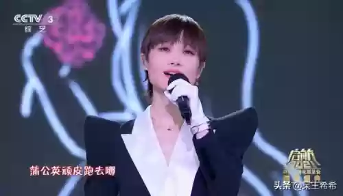 晚会阵容 临海(中央卫视跨年阵容)插图6
