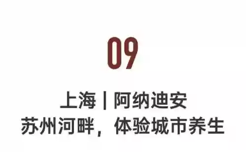 命名夜阑阵容(星陨之地阵容推荐)插图79