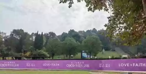 明星葬礼阵容(明星阵容最强大的一部电影)