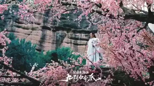 柯镇恶的阵容(张角左慈沮授阵容)插图1