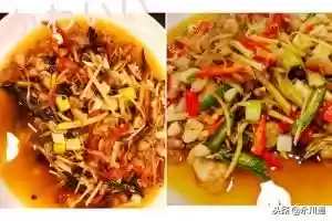 美人蛙阵容(宝可梦t0阵容)插图14