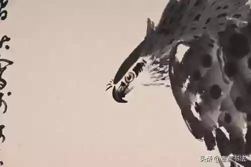 1920老鹰阵容(2017年老鹰队员阵容)插图1