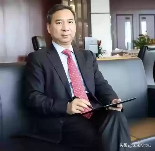 比亚迪股东阵容(比亚迪股东名单)插图2 比亚迪股东阵容(比亚迪股东名单)插图2