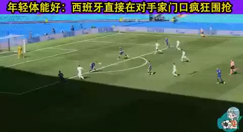 瑞士阵容弱点(法国足球评选历史最佳阵容)插图12