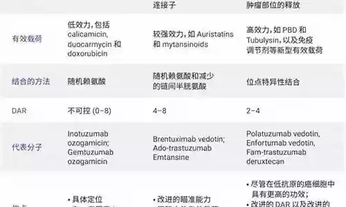 adc如何搭配阵容