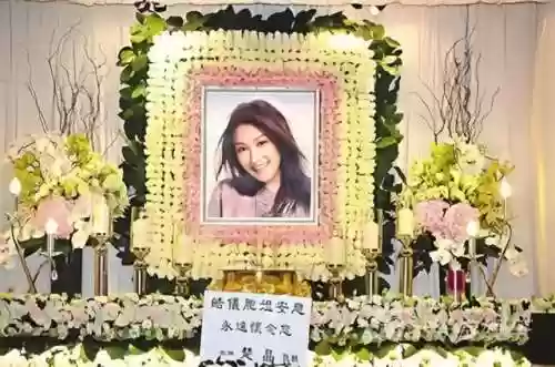 车祸死者阵容(车祸模拟器联机)插图33