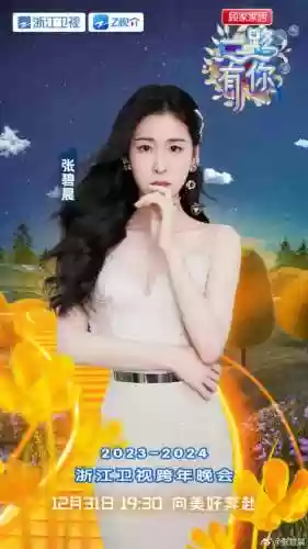 卫视晚会阵容(李现跨年晚会在哪个卫视)插图4