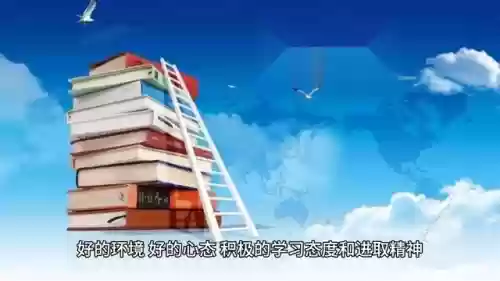 玉米狗熊阵容(狗熊怎么玩)插图1
