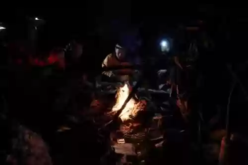 浓雾无尽阵容(浓雾生存模式最佳阵型)插图19
